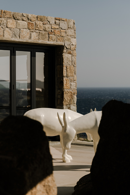 Terra View Gallery 03